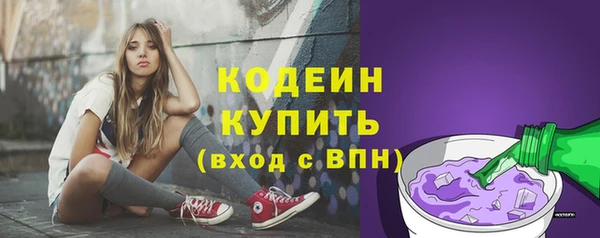 прущие грибы Слюдянка