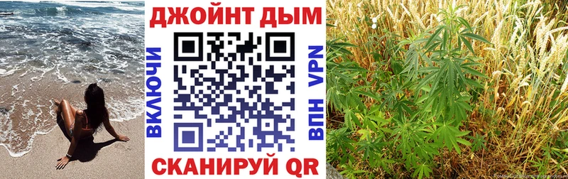 Бошки марихуана OG Kush наркота Рузаевка
